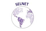 SELNET